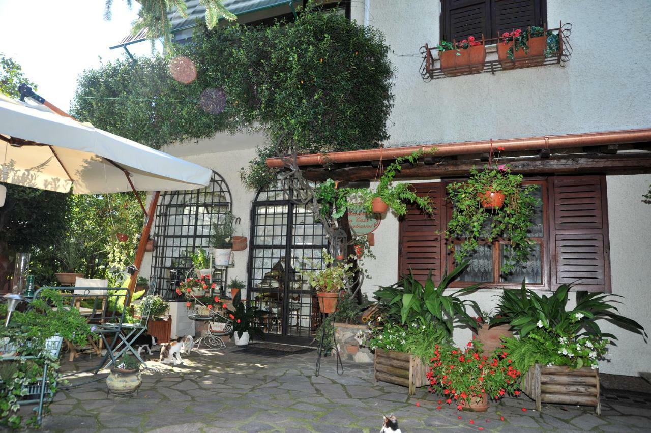 Bed and Breakfast Casa Pontecorvi Velletri Zewnętrze zdjęcie
