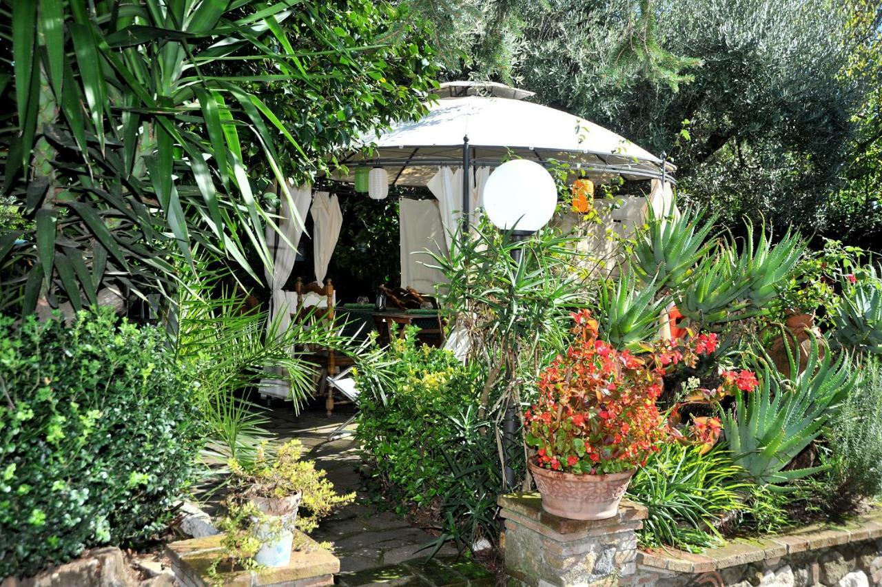 Bed and Breakfast Casa Pontecorvi Velletri Zewnętrze zdjęcie