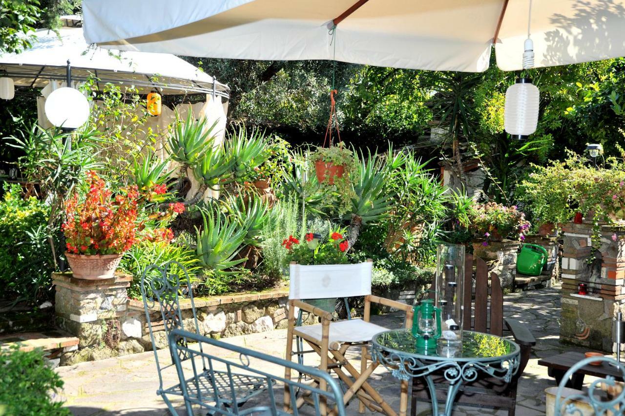 Bed and Breakfast Casa Pontecorvi Velletri Zewnętrze zdjęcie