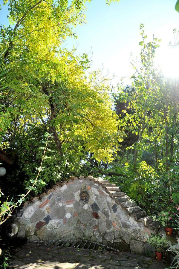 Bed and Breakfast Casa Pontecorvi Velletri Zewnętrze zdjęcie