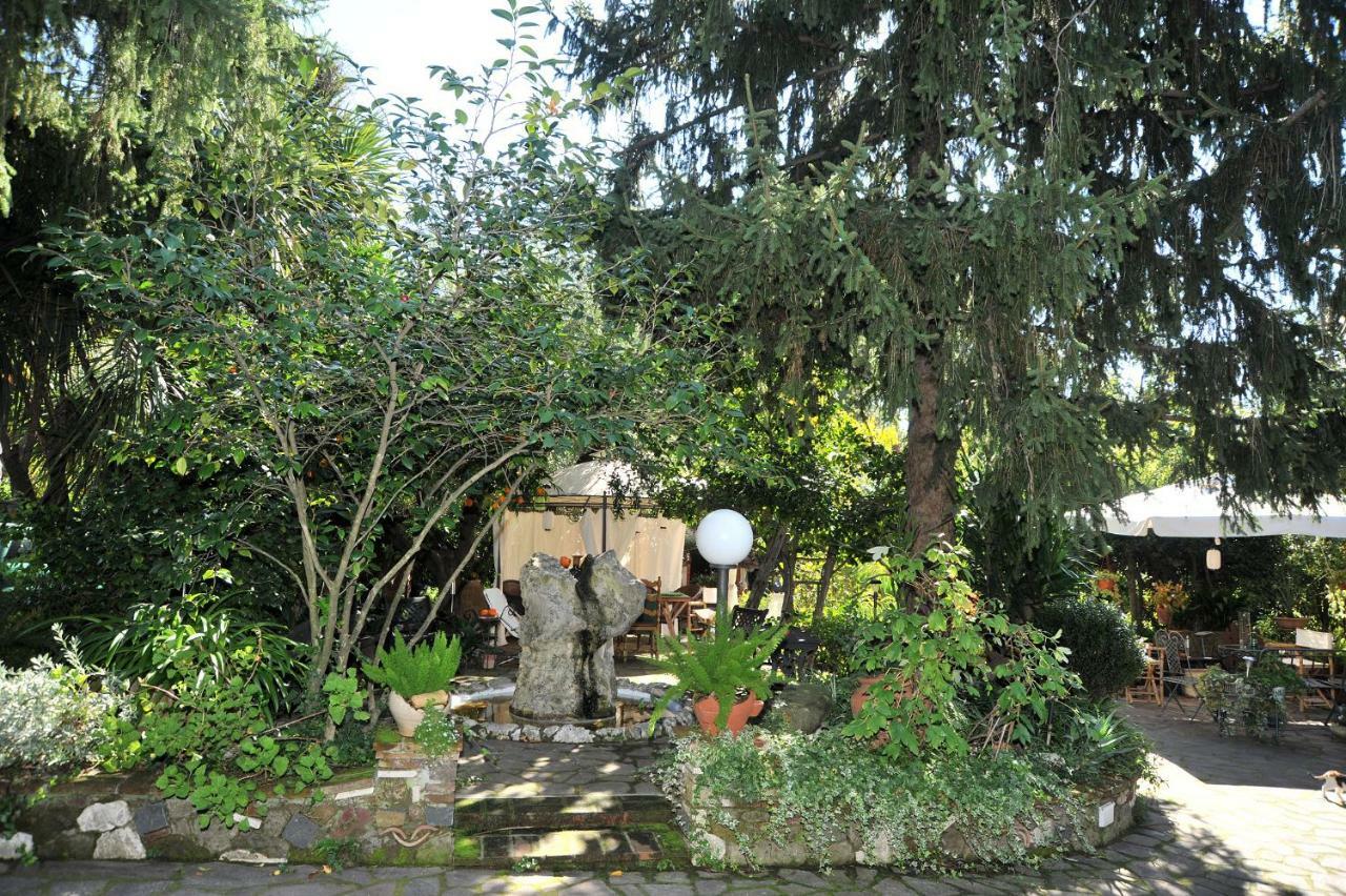 Bed and Breakfast Casa Pontecorvi Velletri Zewnętrze zdjęcie