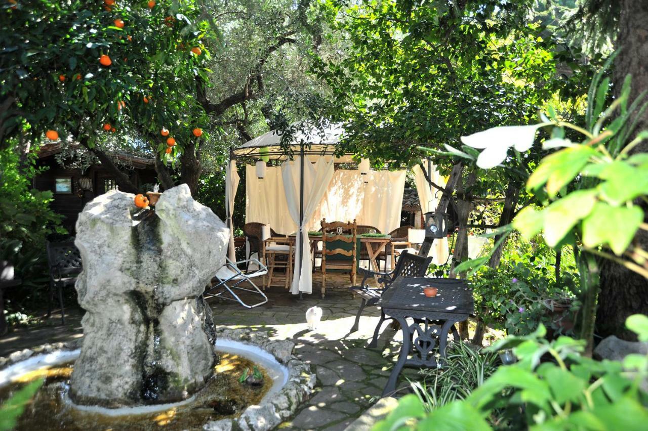Bed and Breakfast Casa Pontecorvi Velletri Zewnętrze zdjęcie
